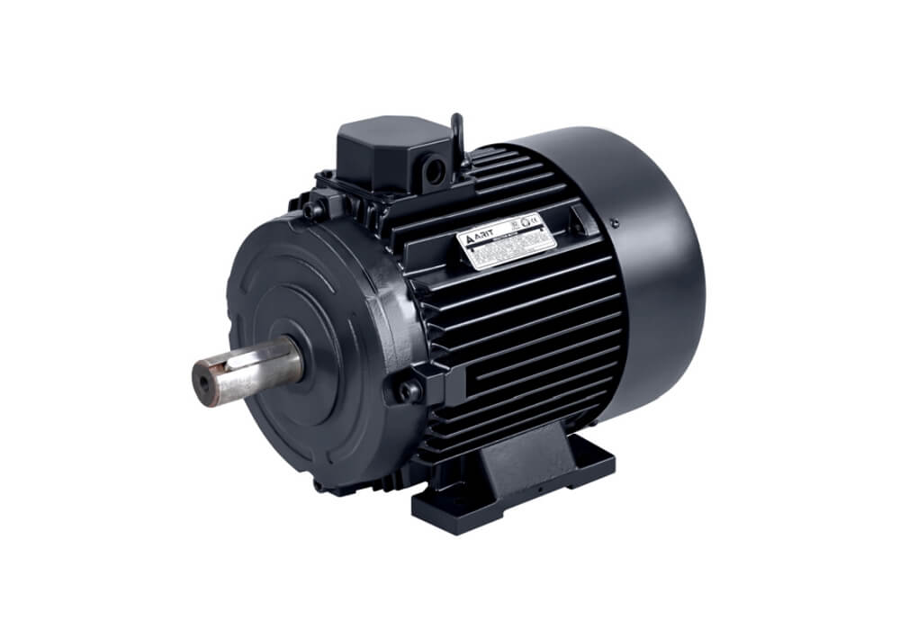 IE2 | 3 Phase Induction Motor